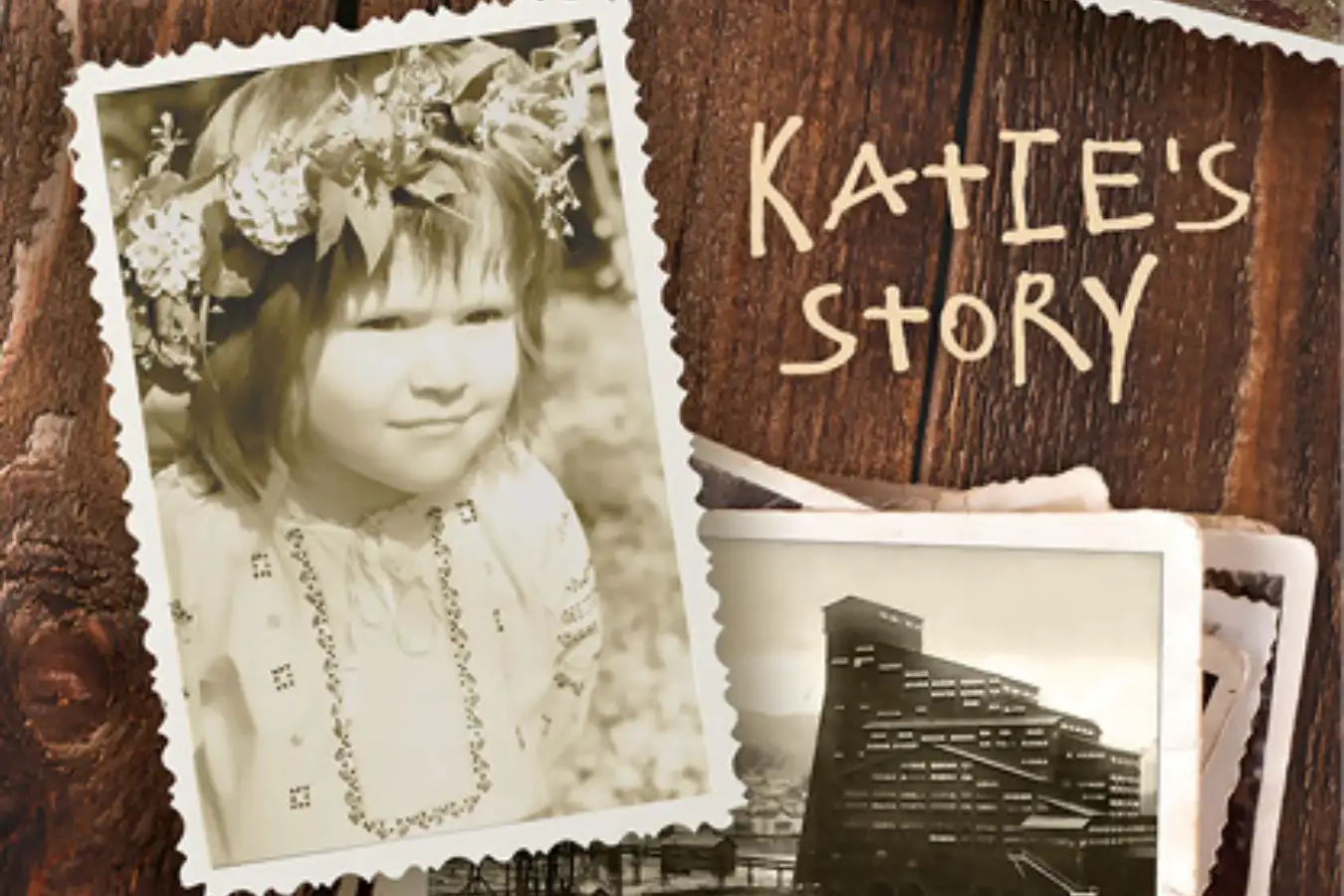 rocked-in-the-cradle-of-coal-books Image